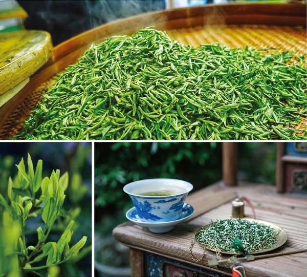 且饮惠明茶 抒写性灵诗 ——“茶韵诗情”诗歌征集活动启动 