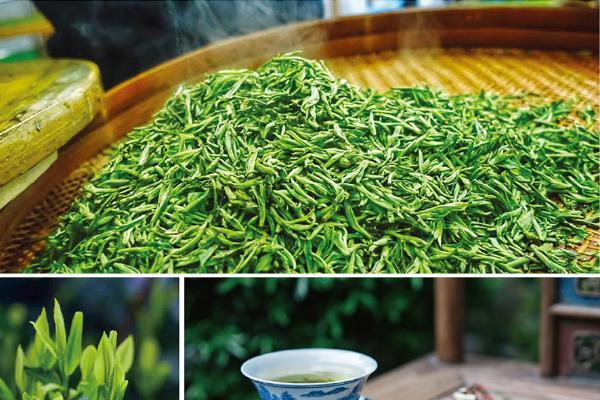 且饮惠明茶 抒写性灵诗 ——“茶韵诗情”诗歌征集活动启动 