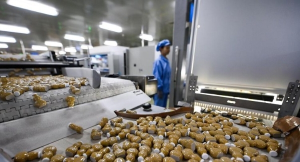 致敬！章臣桂教授荣获全国五一劳动奖章，第六中药厂摘得全国五一劳动奖状 