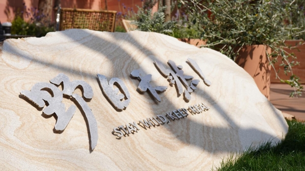 野人先生发布品牌升级，以“东方Gelato”重构品牌表达与品类认知 