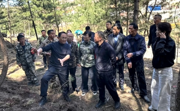 太行林下生金：武乡胡庄绘就乡村振兴新画卷 