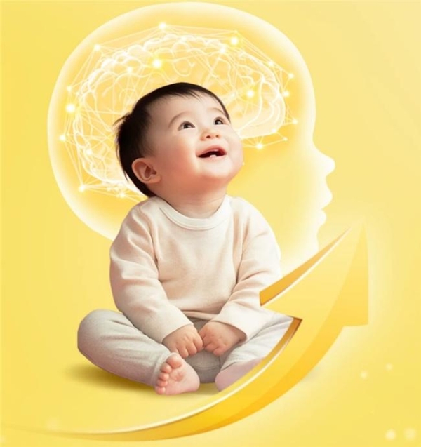 DHA奶粉选哪款？这几款解锁宝宝智慧成长之路 