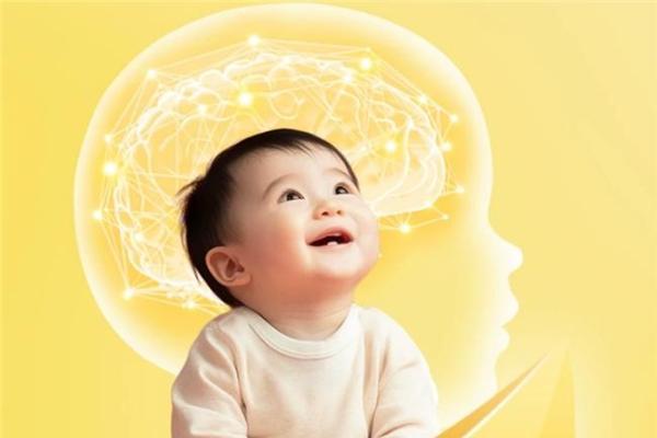 DHA奶粉选哪款？这几款解锁宝宝智慧成长之路 