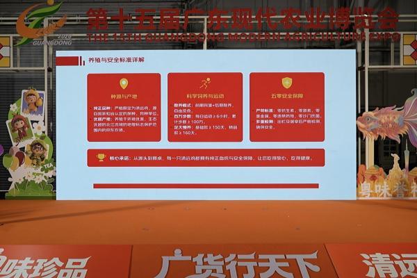 京东生鲜定养模式落地清远 清远市携手京东发布《京东清远跑步鸡标准》 