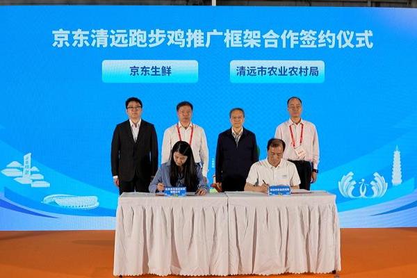 京东生鲜定养模式落地清远 清远市携手京东发布《京东清远跑步鸡标准》 