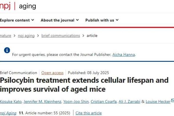 致幻蘑菇减少抑郁，提升寿命51%，替代产品已上市