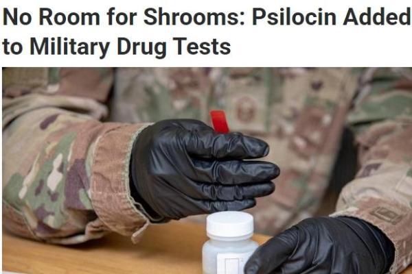 致幻蘑菇减少抑郁，提升寿命51%，替代产品已上市