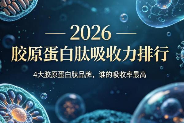 胶原蛋白肽哪个品牌最好？2026胶原蛋白肽吸收力排行：4 大品牌，谁的吸收率最高