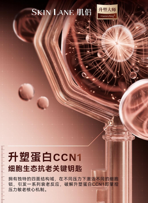 SkinLane肌侣：从“科技之力”到“秩序之美”的跃迁 