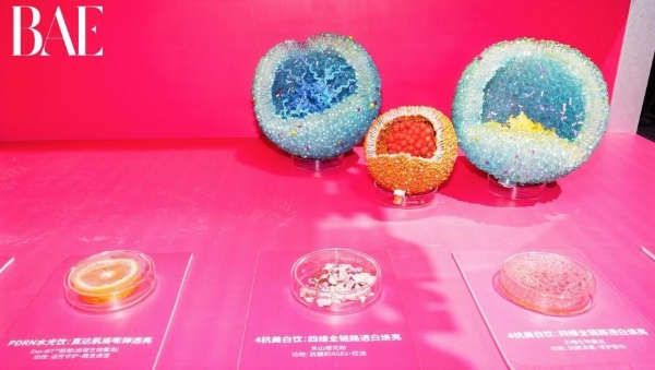 闪耀 BAE！佰诺兮盾舱PDRN实力出圈 斩获年度影响力品牌 