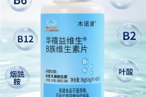 2026年维生素B族哪个品牌好？十大维生素B族品牌深度盘点！ 