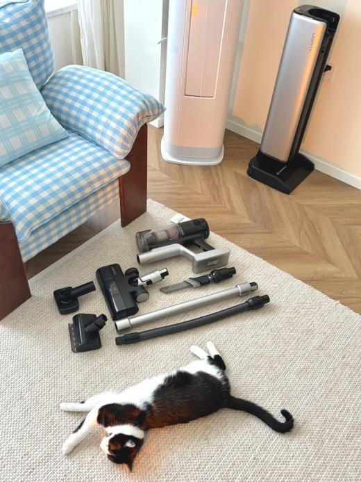 多猫家庭用友望怎么样？养猫好物推荐清单直接抄作业 