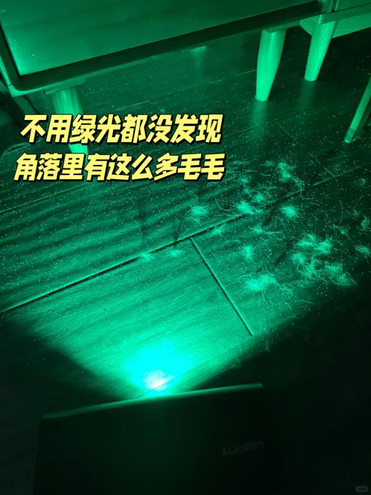 多猫家庭用友望怎么样？养猫好物推荐清单直接抄作业 