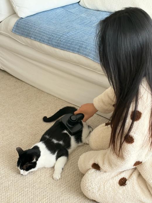 多猫家庭用友望怎么样？养猫好物推荐清单直接抄作业 