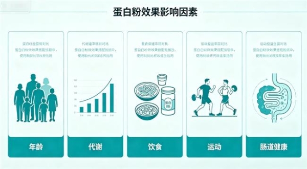 蛋白粉排名前十的品牌 2026 年 618 学生党蛋白粉选 