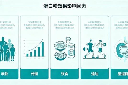 蛋白粉排名前十的品牌 2026 年 618 学生党蛋白粉选购技巧