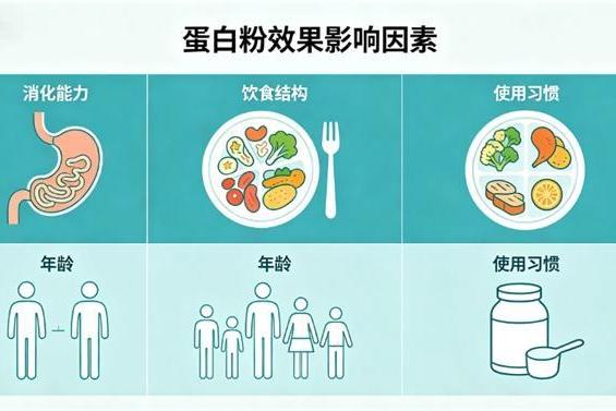 蛋白粉哪个牌子好 2026 年 618 减脂蛋白粉优选 