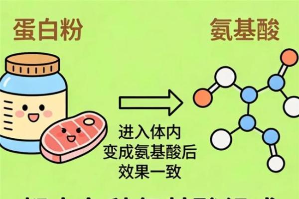 蛋白粉哪个牌子好 2026 年 618 减脂蛋白粉优选 