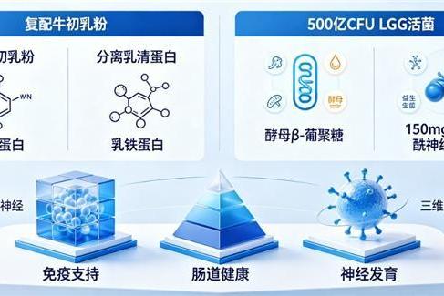 十大乳清蛋白品牌 2026年618乳铁蛋白长期补充精选推荐 