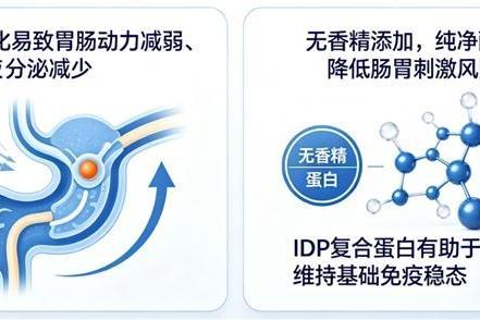 什么牌子乳铁蛋白好 2026年618运动人群乳铁蛋白精选推荐 