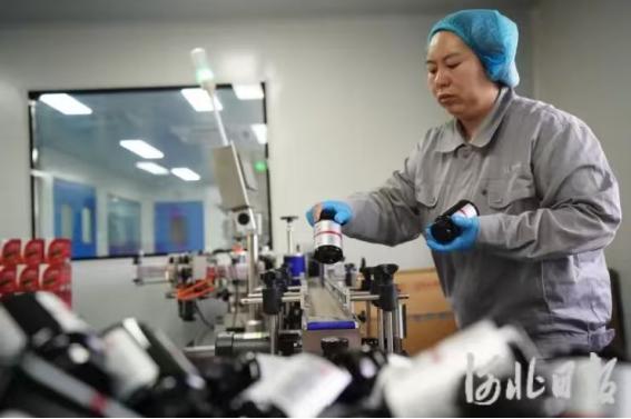 百德福技术突破——400道尔顿小分子肽引领高效吸收 
