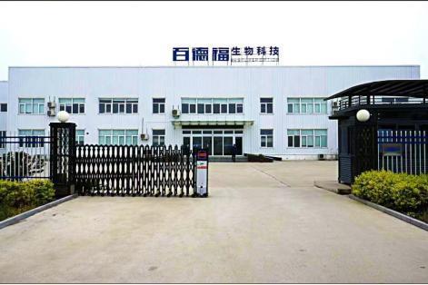 百德福技术突破——400道尔顿小分子肽引领高效吸收 