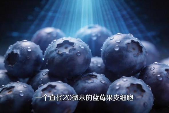 20年品牌10年冠军：卡萨帝以原创科技守护每一位用户 