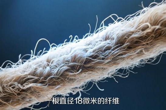20年品牌10年冠军：卡萨帝洗衣机AI深度奢护科技呵护18微米纤维柔软 