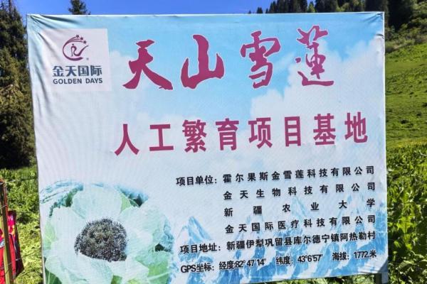 天山雪莲待放|从雪域高原到万亿蓝海，金天国际引领全球生殖养护产业高质量发展 