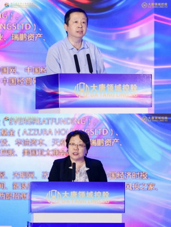 大唐领域控股第十届丝博会·第二届国际创投长安号政企项目推介会成功举办 