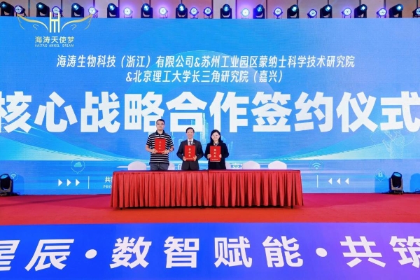 海涛天使梦Web3.0 APP上线发布会暨2026嘉年华启动仪式圆满落幕 