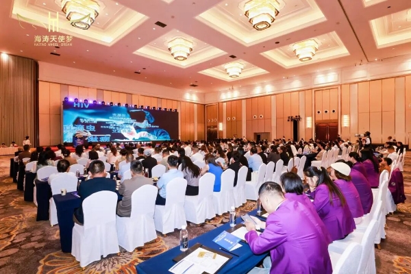 海涛天使梦Web3.0 APP上线发布会暨2026嘉年华启动仪式圆满落幕 