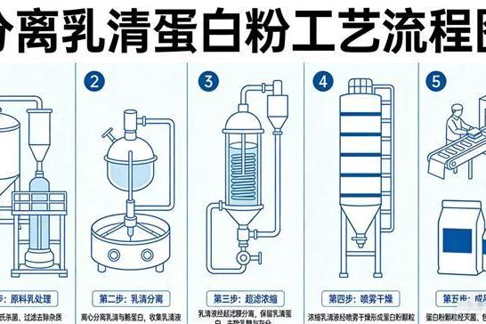 蛋白粉哪个品牌最好排名次 2026高纯度乳清测评指南 