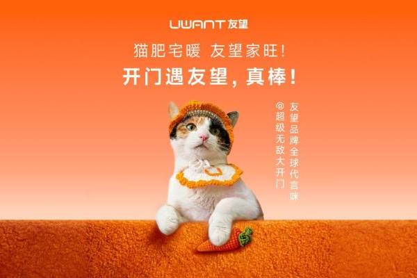 母亲节营销观察｜友望为“猫咪妈妈”发声：看见那个被忽略的角落 