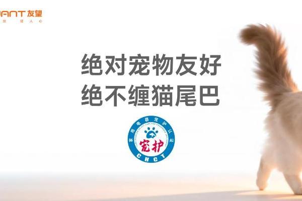 母亲节营销观察｜友望为“猫咪妈妈”发声：看见那个被忽略的角落 