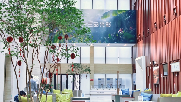 国际患者为何选择广州泰和肿瘤医院？——华南质子中心服务数据解析 