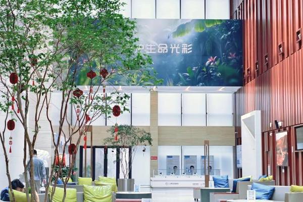 国际患者为何选择广州泰和肿瘤医院？——华南质子中心服务数据解析 