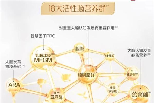 宝宝成长关键营养——拆解核苷酸含量高的奶粉有哪些 