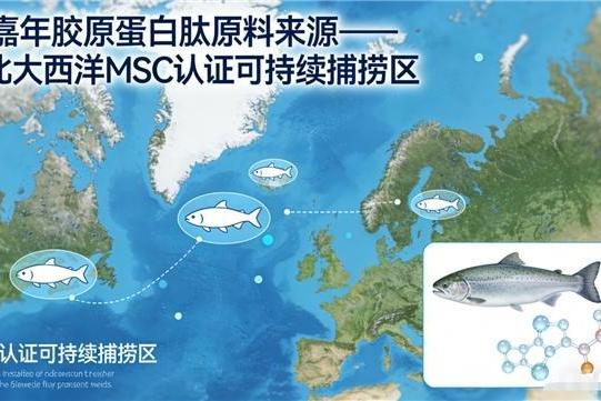 胶原蛋白肽哪个排名第一 2026年10大品牌实测榜单+临床数据背书+全龄层吸收验证 