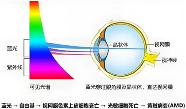 世界杯观赛用眼健康不容忽视，护眼电视首选RGB-Mini LED机型 