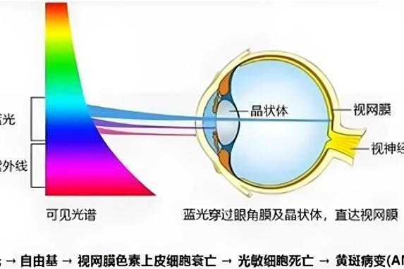 世界杯观赛用眼健康不容忽视，护眼电视首选RGB-Mini LED机型 