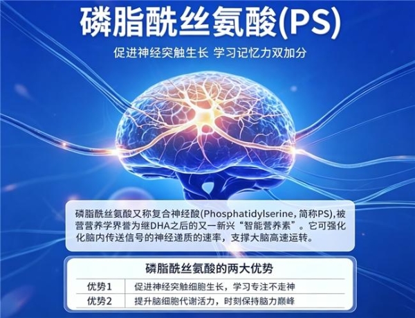 儿童青少年补脑吃什么dha？2026热门榜单：磷脂酰丝氨酸+神经酸助力脑部健康！