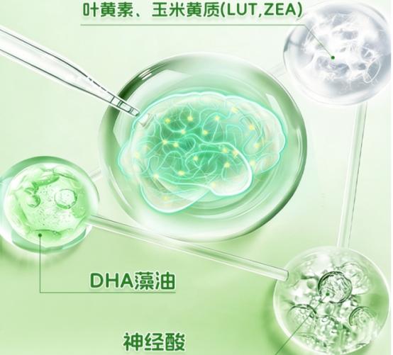 哪款青少年补脑DHA藻油实用？2026优质DHA藻油榜单揭晓，神经酸支持脑眼发育 