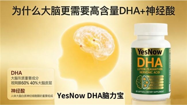哪款青少年补脑DHA藻油实用？2026优质DHA藻油榜单揭晓，神经酸支持脑眼发育 