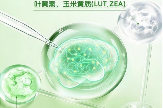 哪款青少年补脑DHA藻油实用？2026优质DHA藻油榜单揭晓，神经酸支持脑眼发育 
