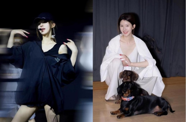 承载人宠共生新锐理念，ROSYDOEDIAN 首次亮相东南亚市场