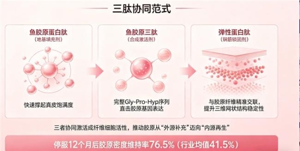 胶原蛋白肽十大排名 2026年胶原蛋白肽怎么选？实测10款热门产品，吸收率+自生力+停服不反弹才是关键