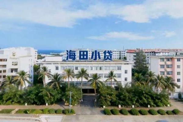 海田小贷2亿元ABS成功发行 海马集团资产证券化再突破 