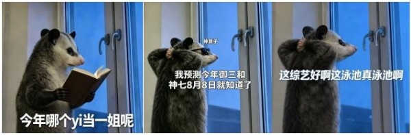 浪花不小：SNH48这回算是把“出圈”这事儿整明白了 