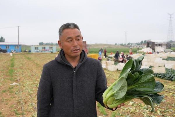 一肥六效，鲁花花生肽肥的化肥替代之路——在田间地头实地探访鲁花花生肽肥六大“超能力” 